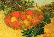 Vincent Van Gogh Still Life with Oranges, Lemons and Gloves oil on canvas